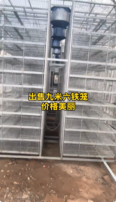 【交易】出售九米六高栏家禽运输笼