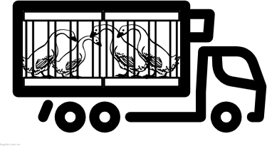 【俊彬站笼】Logo 就是 “标志”